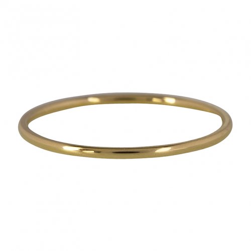 CHARMINS | GOUD/STALEN EXTRA SMALLE BASIS RING